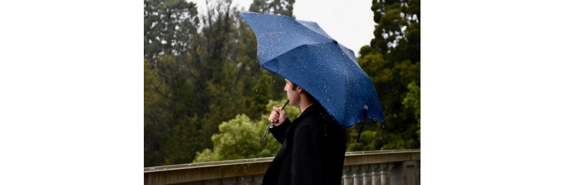 Umbrellas